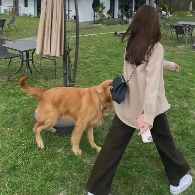 走向西部