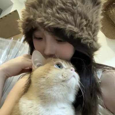 睡觉的笨蛋